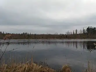 озеро в мае 2020