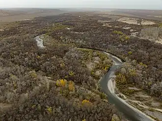 Вид на рощу с воздуха