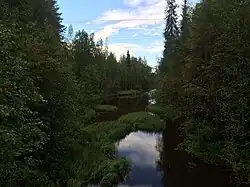 Вид против течения