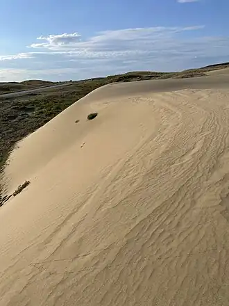 полупустыня на севере Чечни