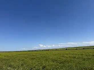 Алханчуртовская долина близ Керла-Юрт