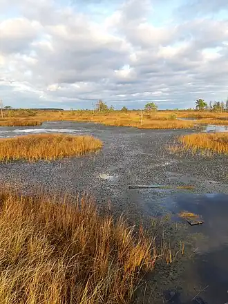 Экотропа у озера