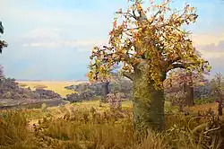 «Африканская саванна»