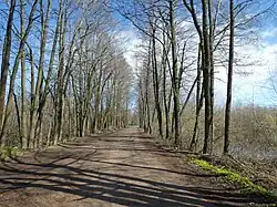 Южная Кронштадтская дорога у комплекса мортирных батарей