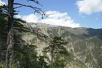 Ялтинская яйла и Иограф вид со Ставрикайской тропы