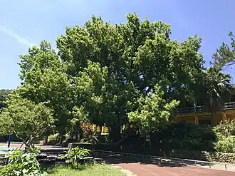 В районе Синьчжу, Тайвань. 27.05.2018 г.