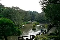 Японский сад (тыквенный пруд), детский парк развлечений.