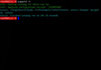 Скриншот программы Puppet
