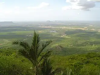 Саванна в Бразилии