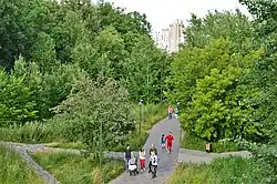 Одна из пешеходных дорожек: вид с высоты Эко-центра «ДОМ» (июль 2019)