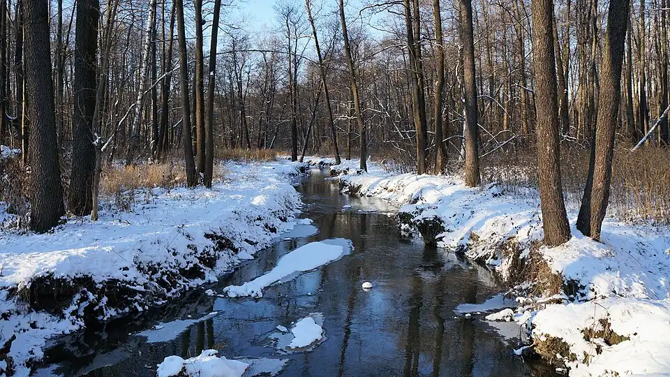 Серебрянка в лесопарке Измайлово, вниз по течению, 2018 год
