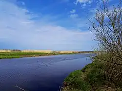 Устье реки в п. Большая Ижора