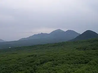 Вид на Бештаугорский лес с Селитряных скал