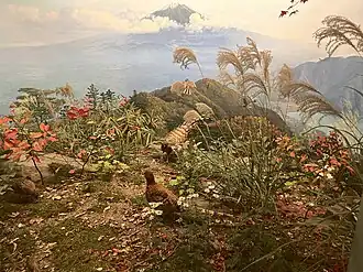 Диорама «Птицы Японии. Остров Хонсю, вид на Фудзияму»