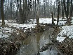 Чёрный ручей в Измайловском парке, 2008 год