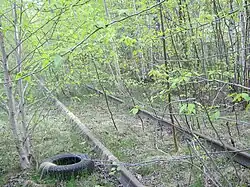 Заброшенный подъездной путь к Болдерайскому судоремонтному заводу