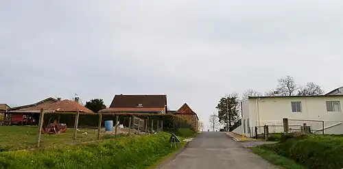 Буэй-Буэйо-Ласк