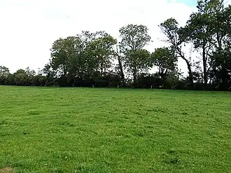 Поместье Брекур, 2010