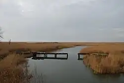 Разрушенный мост через реку