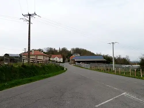 Кастетпюгон