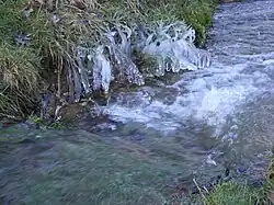 Ше в декабре 2008 года