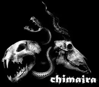 Обложка альбома Chimaira «Chimaira» (2005)