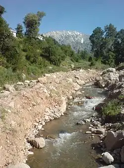 Чимгансай в среднем течении, населённый пункт Чимган.На заднем плане — гора Большой Чимган