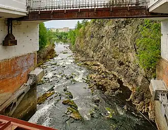 Река Тура ниже плотины