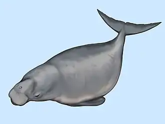 Реконструкция