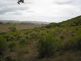 Урочище Джангарель (со слов местных жителей) вблизи села Речное