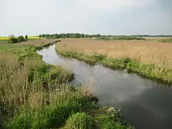 Вид на Дитву между городским посёлоком Радунь и городом Лида весной 2015 года