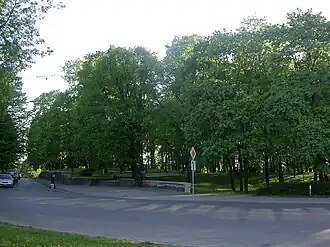 Вид Старого еврейского кладбища от ул. Лаувас