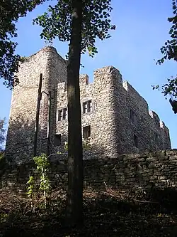 Замок Эренбург с южной стороны