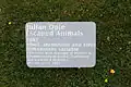 Табличка о проекте «Сбежавшие животные», Дублин, Май 2011