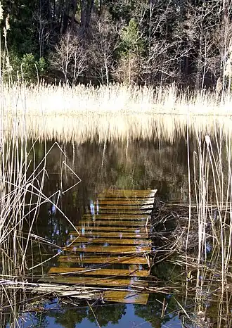 Восточная часть водоёма весной 2013 года