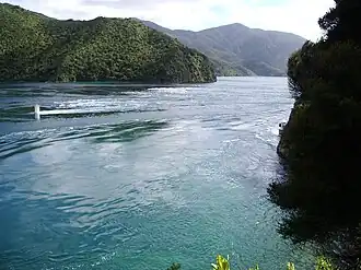 Вид на Френч-Пасс с острова Южный. Течение направлено на северо-восток.