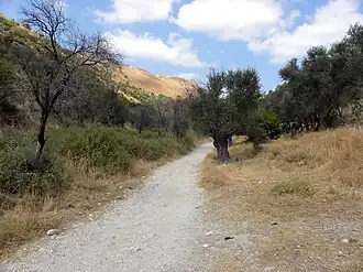 Старая дорога из Рош-Пина в Цфат, Верхняя Галилея, Израиль