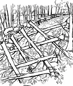 Лесной завал