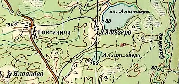 Деревня Гонгиничи на карте РККА 1940 года