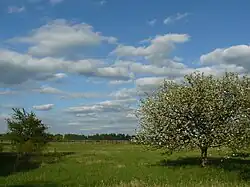 Вид со станции на антенны радиотелескопа