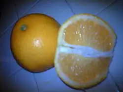 Разрезанный на пополам хассаку