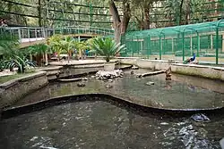 Экологический зоопарк