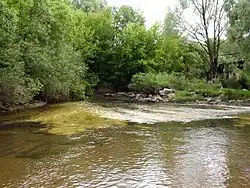 Ирша возле Малина