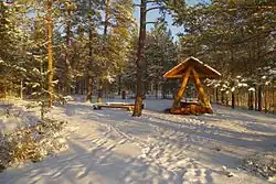 Место для отдыха и костра в лесу