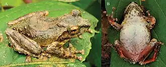 Вид сверху и снизу