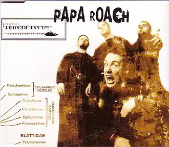 Обложка сингла Papa Roach «Last Resort» (2000)