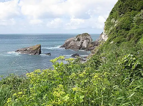 Скала Лейвер-стоун