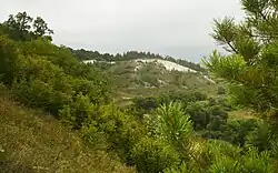 Вид с детинца на посад