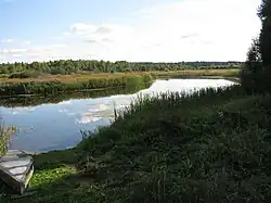 В деревне Волокобино