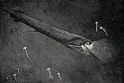 Малакосты — одни из немногих рыб, способных испускать красный свет. Поскольку большинство жертв его не различает, хищник охотится с помощью невидимого луча